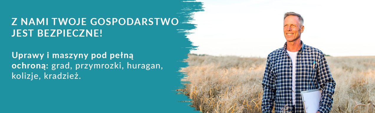 Offer Banner